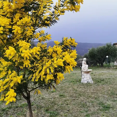Il Casale Del Sole